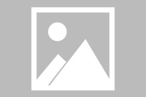 mk体育app下载-【记意电波】我们选出的意甲上半程最佳阵容